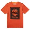 Timberland Uomo T-shirt Con Stampa - Orange Noir