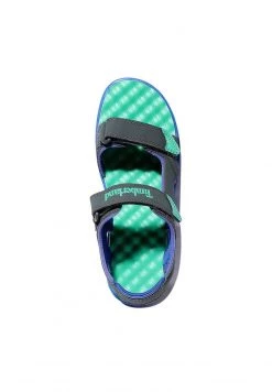 Timberland Bambini PERKINS ROW 2-STRAP - Sandali Da Trekking - Dark Shadow -Discount Timberland in Italia d20d1c04cdd34ce29521c6129854f617