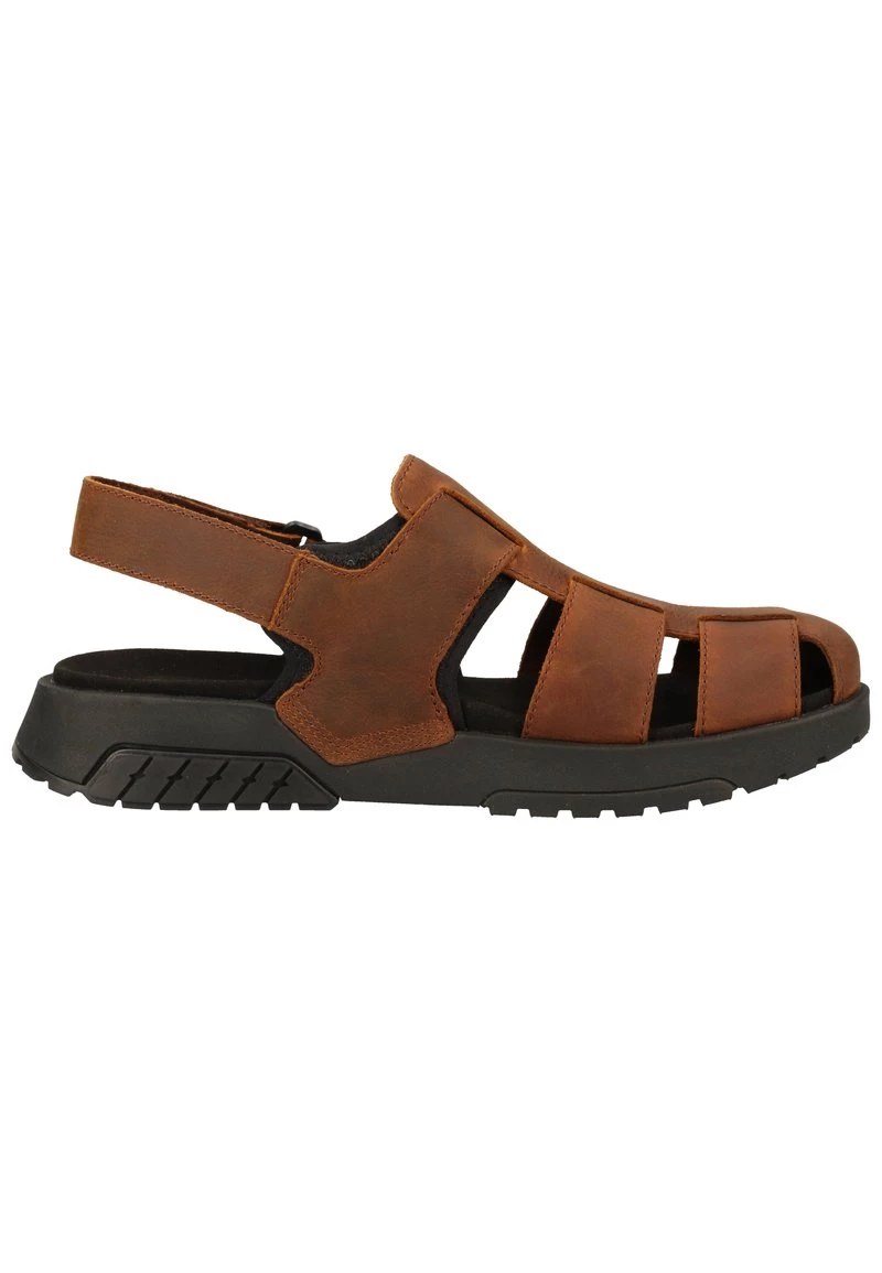 Timberland Uomo ANCHOR WATCH BACK STRAP SANDAL - Sandali Da Trekking - Buckthron Brown 2031 7 Timberland Uomo ANCHOR WATCH BACK STRAP SANDAL - Sandali Da Trekking - Buckthron Brown 2031 - immagine 7