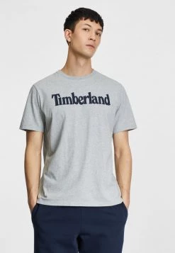 Timberland Uomo KENNEBEC RIVER LINEAR TEE - T-shirt Con Stampa - Medium Grey Heather